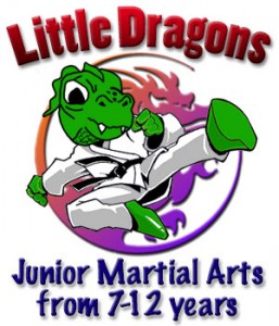Ilyokwan Little Dragons, junior martial arts, leadership and life skills. Character development for children from 7 to 12 years.