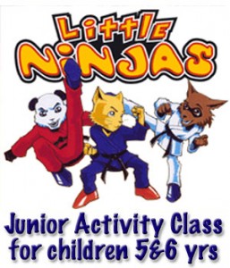 Little Ninjas, the martial arts themed junior activity class for children 5 and 6 years old